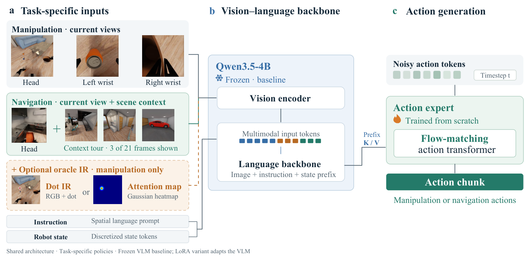 Task-specific views share a Qwen3.5-4B backbone and a flow-matching action expert. Manipulation can additionally use oracle grounding cues.